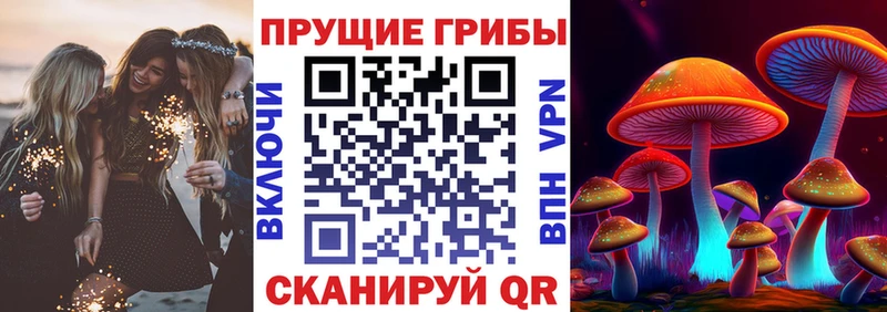 Галлюциногенные грибы Psilocybe  MEGA зеркало  Учалы 